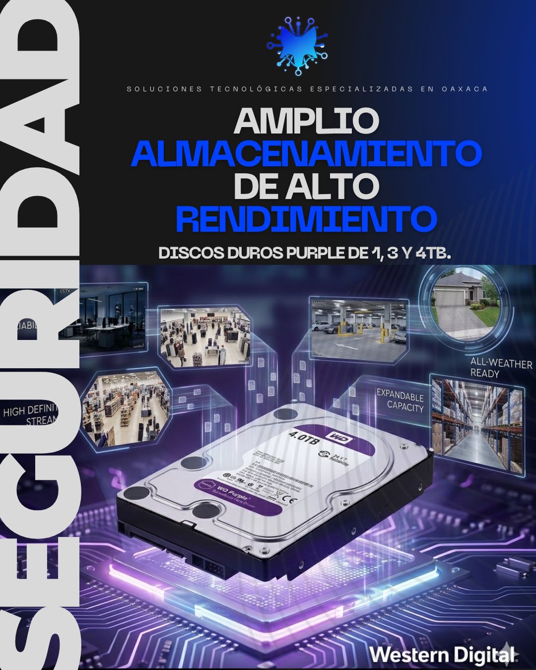 Seguridad electrónica