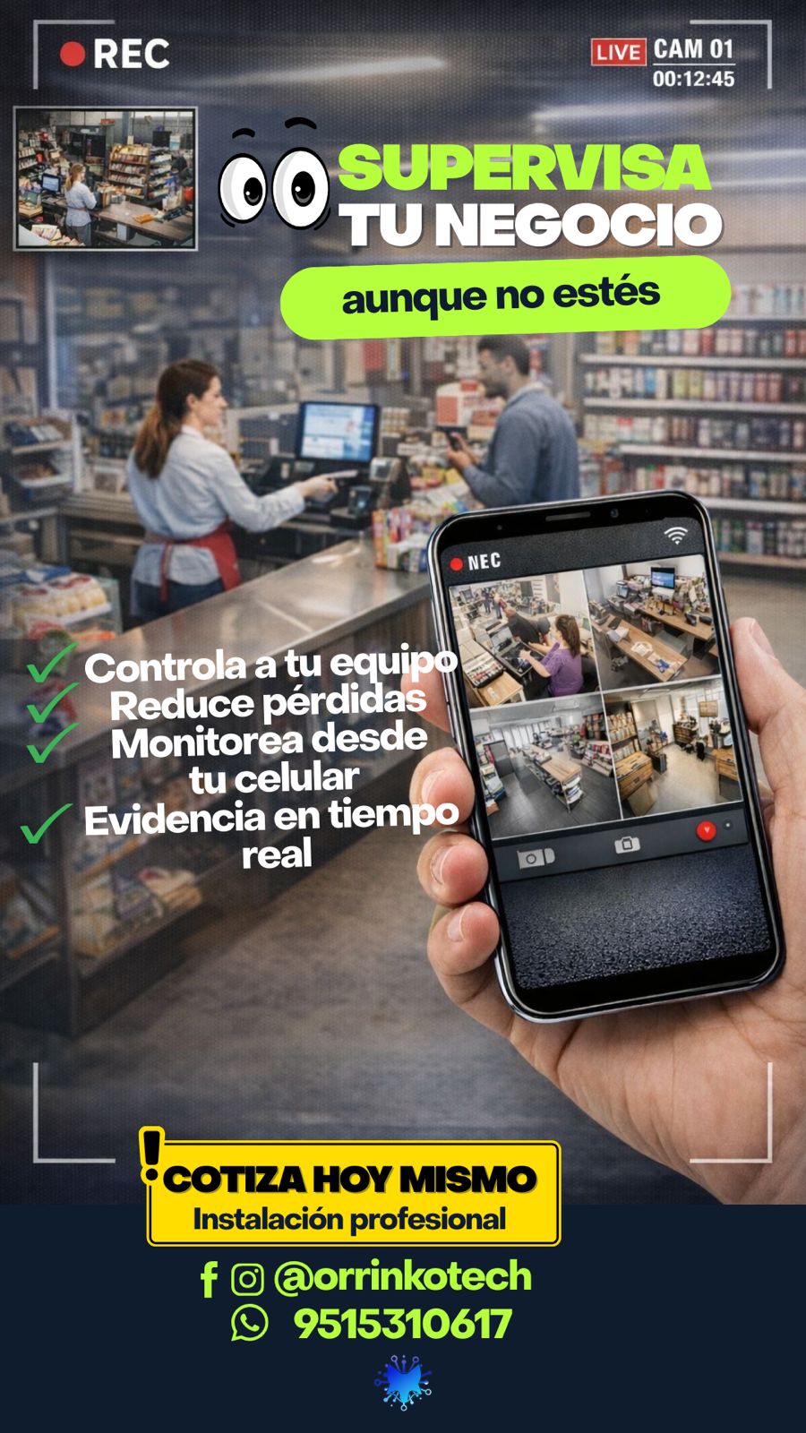 Seguridad electrónica